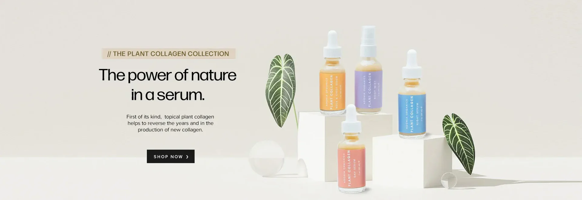 Timeless Beauty Through Plant-Based Science